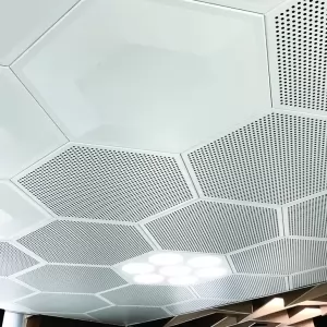 Trần lục giác Hexagon Clip-in